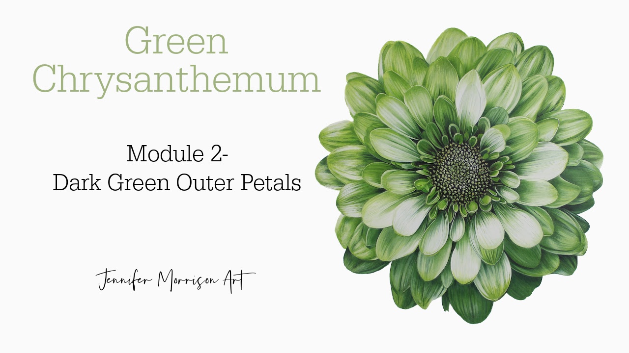 Link to Colored Pencil Drawing Tutorial of Blue Grapes