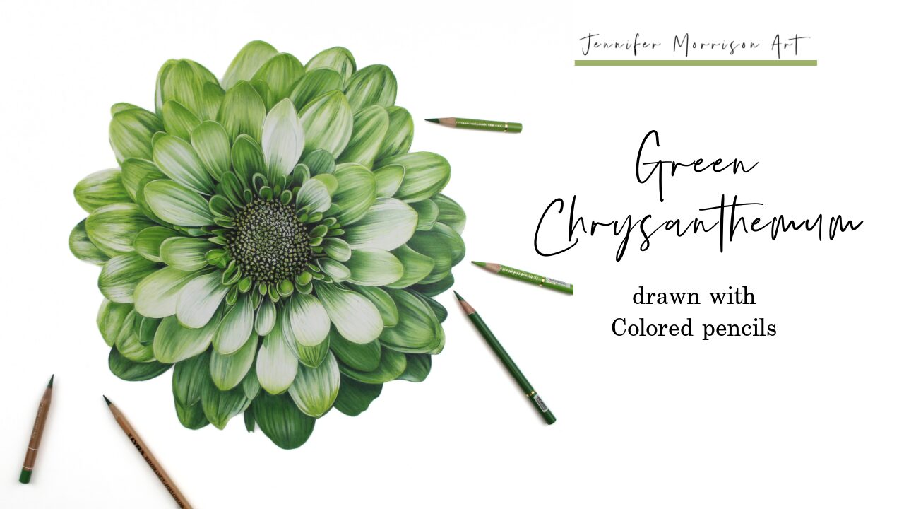 Link to Colored Pencil Drawing Video of a Blue Mum