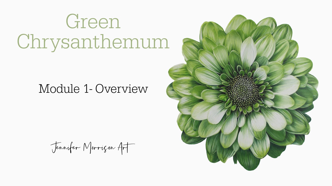 Link to Colored Pencil Drawing Tutorial of Blue Grapes