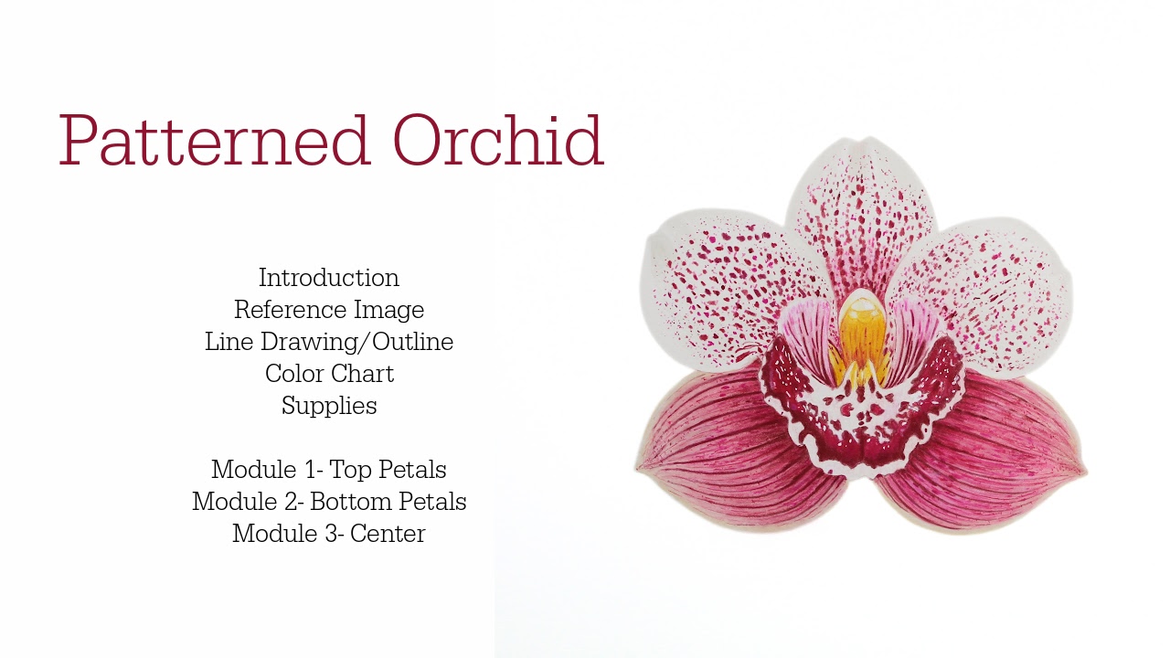 Patterned Orchid (1) Link to Colored Pencil Drawing Tutorial of a Blue Mum