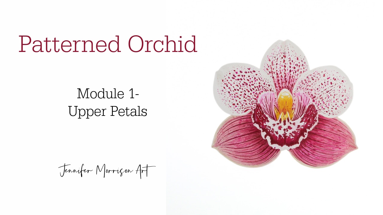 Patterned Orchid